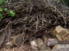 compost corner