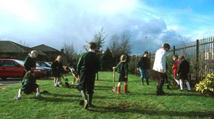 Children planting trees