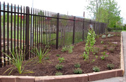 The finished area with new plants